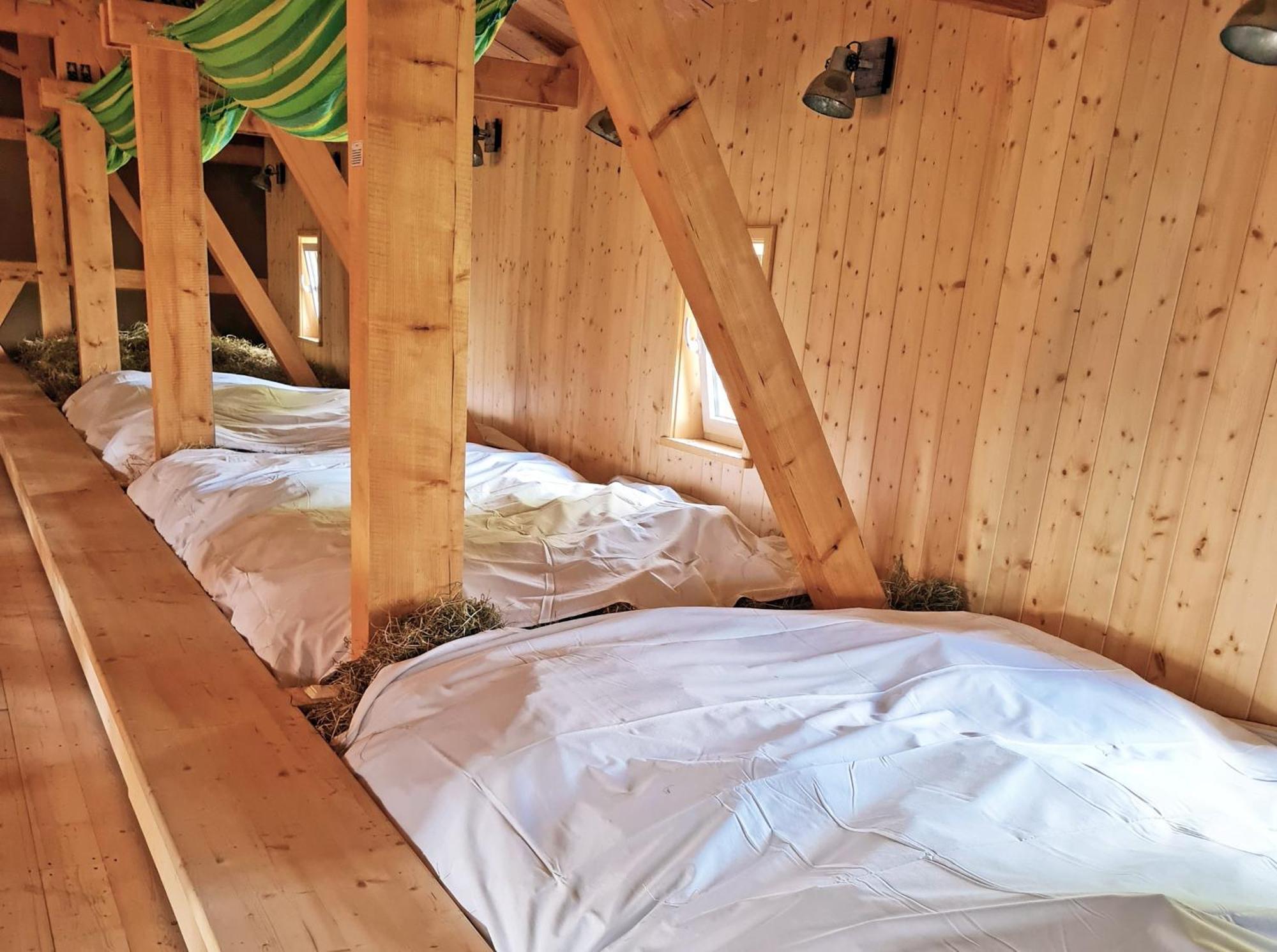 Walddorf  Familien- Und Apartmenthotel Lerchenberghof חדר תמונה